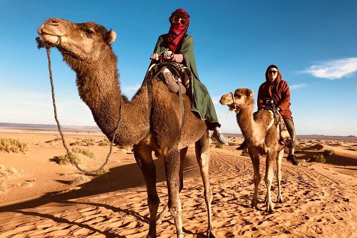 Private 2 Days Luxury Desert Tour from Fez to Fez (Fes to Fes) - Photo 1 of 8