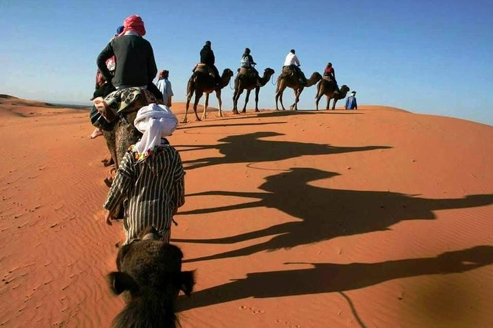 Camel ride in the desert