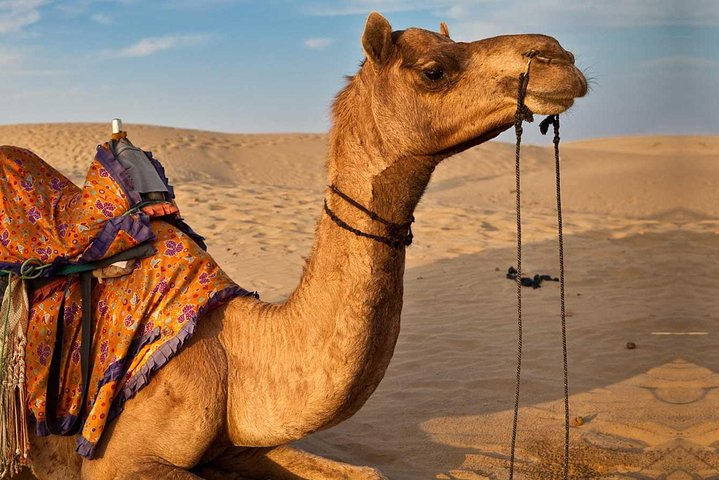 3 day tour from Marrakech