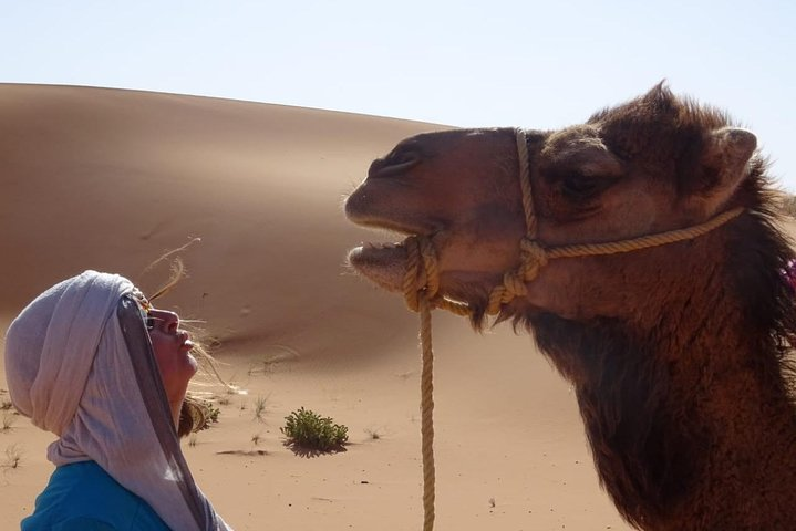 Private 4x4 tour of Marrakesh-Ait Ben Haddou-Zagoura - Photo 1 of 6