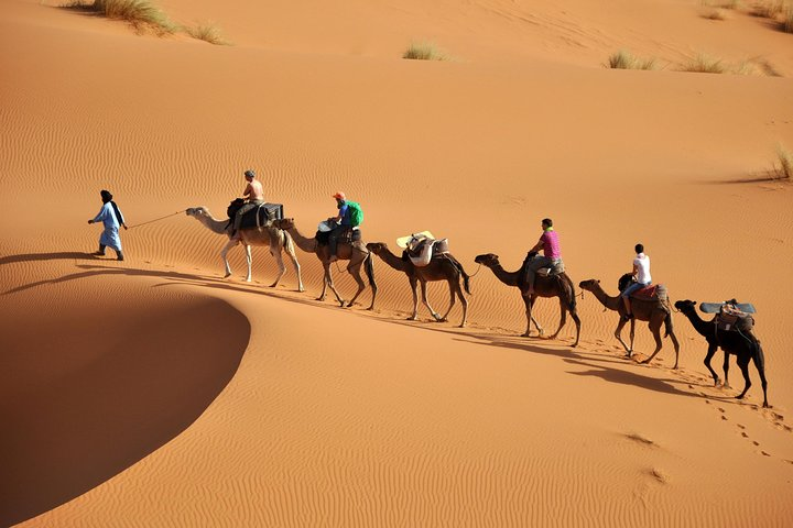 trips to the desert of Morocco