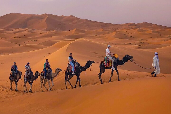 Camel ride for sunset