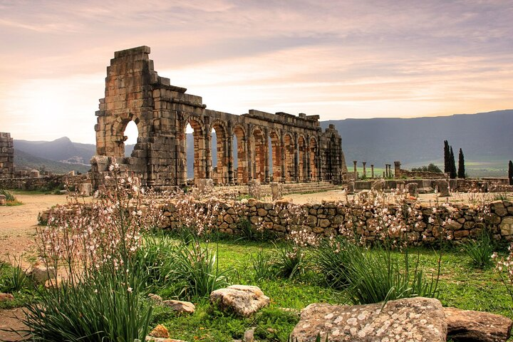 Private Day Tour To Volubilis Meknes and Zerhoun from Fes - Photo 1 of 7