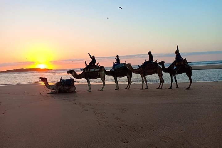 EN PETIT GROUPE vers ESSAOUIRA depuis MARRAKECH  - Photo 1 of 8