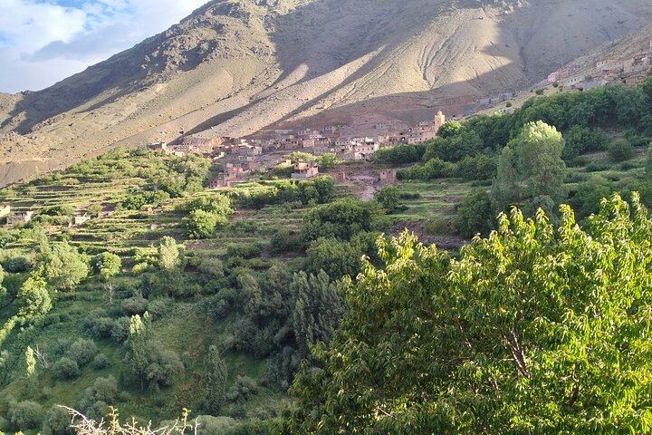 From Marrakech Day Hike to Tizi Mazaik Mountain 2400m - Photo 1 of 6