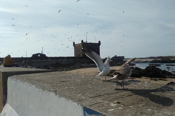 Private Essaouira day trip from Marrakech - Photo 1 of 10