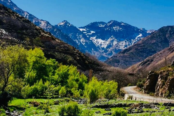 Excursion to the Ourika Valley and Berber villages  - Photo 1 of 17