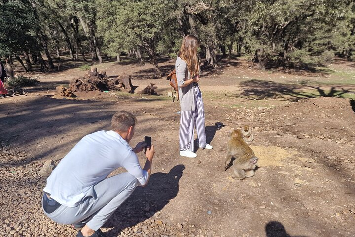 Private Fes to middle atlas with hiking in cedar forest - Photo 1 of 4