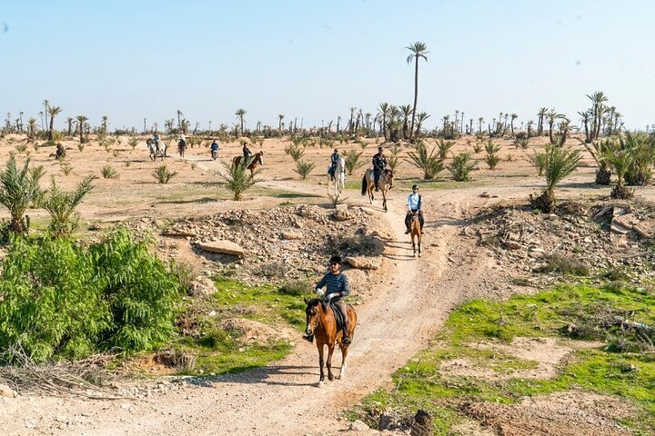 Day trip on horseback in the palm grove