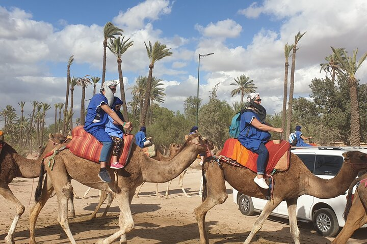 Private Majorel garden and Camel ride - Photo 1 of 4