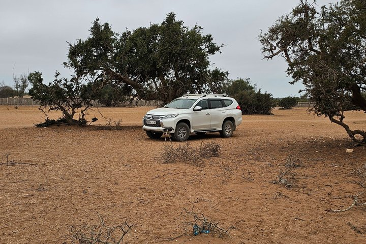 Private Luxury Desert & Oasis Experience from Agadir by 4x4 - Photo 1 of 16