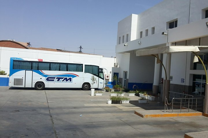 Private transfer from CTM bus to your Hotel in Fez city - Photo 1 of 6