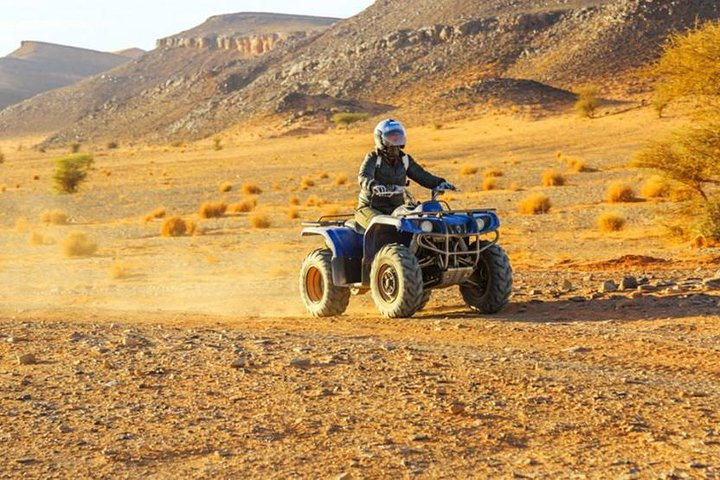 Quad and Camel ride in the palmgrove of Marrakech - Photo 1 of 10