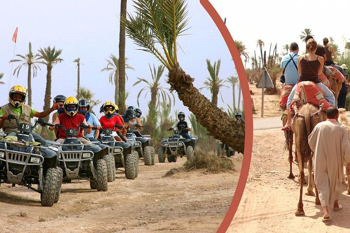Quad Bike and Camel Ride Guided Day Tour from Marrakech