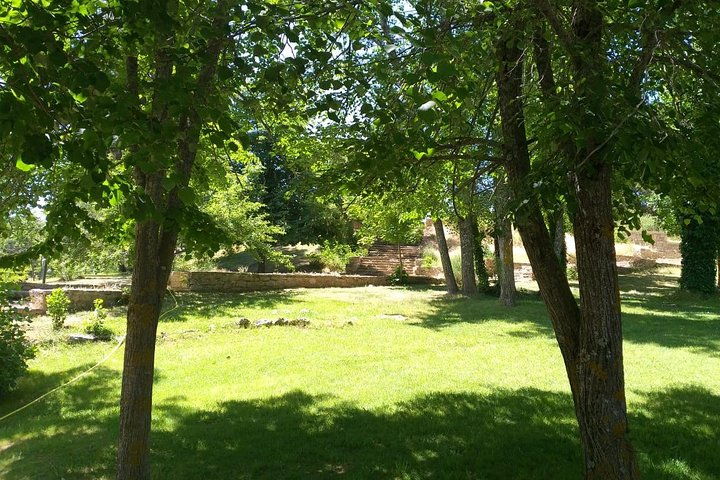 Shared day trip to middle atlas from fez - Photo 1 of 8