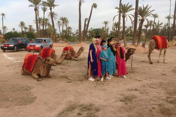 camel ride in Marrakech palm grove