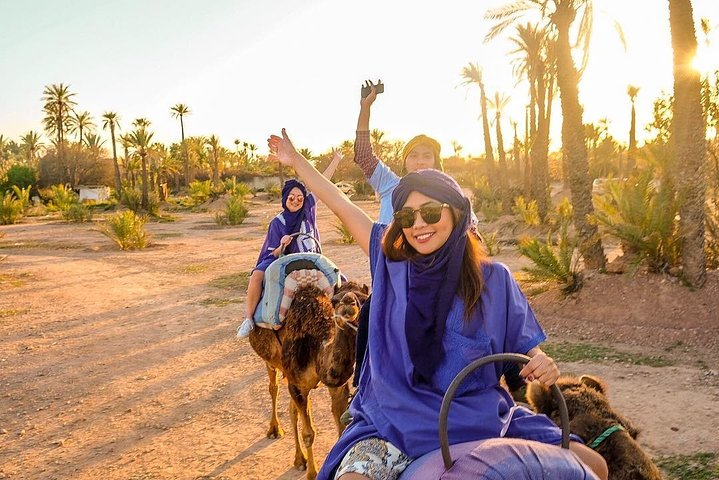 Sunset Camel Ride In The Marrakech Palm Grove - Photo 1 of 10
