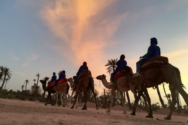 Small group tour Camel Ride