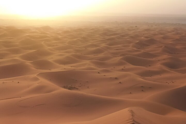 Sunset Merzouga Desert Safari in a private Jeep - Photo 1 of 11
