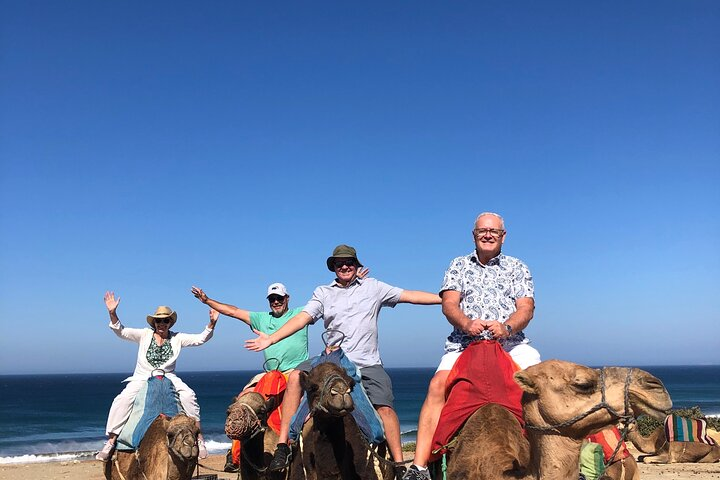 Tangier Private Tour :Medina ,souks, kasbah, caves & camel ride - Photo 1 of 25