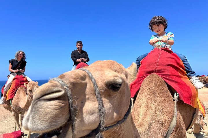 Tangier All-In Tour from Ferry or cruise: Souks, Lunch & Camel - Photo 1 of 7