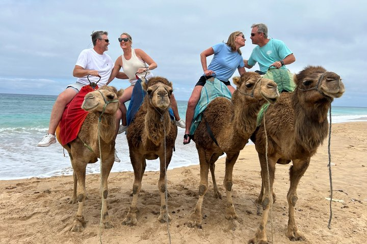 Private Tangier Tour & Camel Ride Experience - Photo 1 of 10
