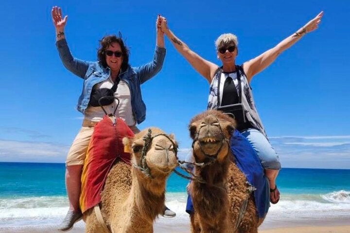 Tangier Tour 5 Hour Private All Included camel Ride - Photo 1 of 25