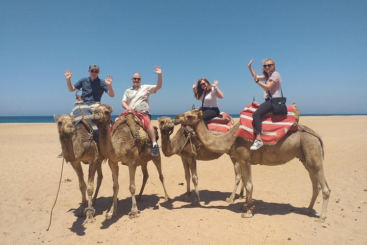 Tangier Private Full Day Tour From The Cruise Ship all inclusive - Photo 1 of 25