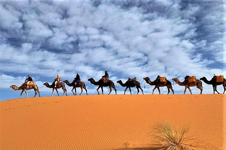 Tangier to Sahara Desert