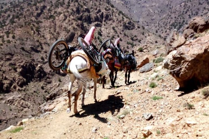 Challenge single track Day trip from Marrakech & Berber Villages - Photo 1 of 11