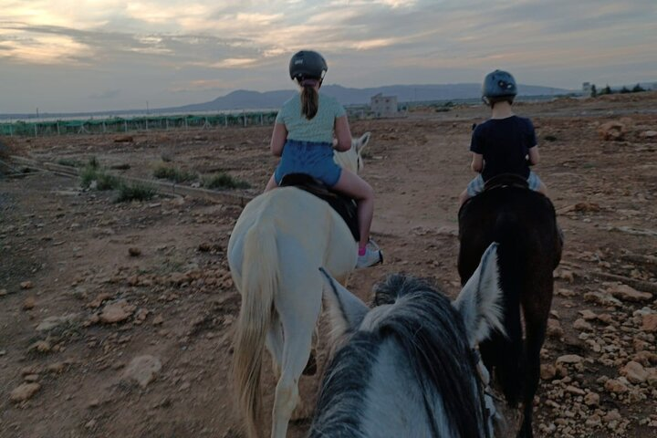 The Horse ride at the Suburbs of Fez (with lunch)  - Photo 1 of 7
