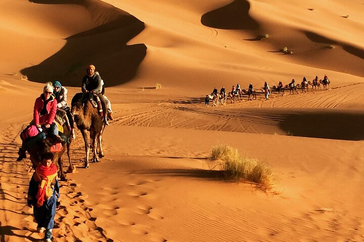 Rolling dunes camel ride 