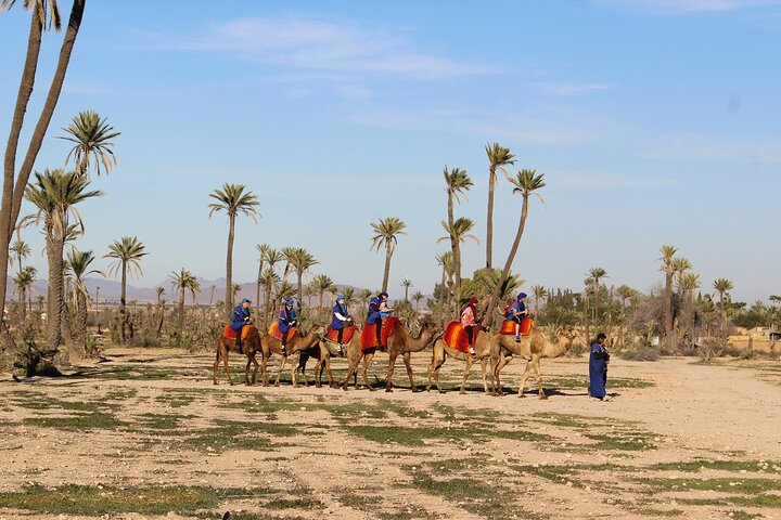 Things to do in Marrakech: Camel ride experience - Photo 1 of 14