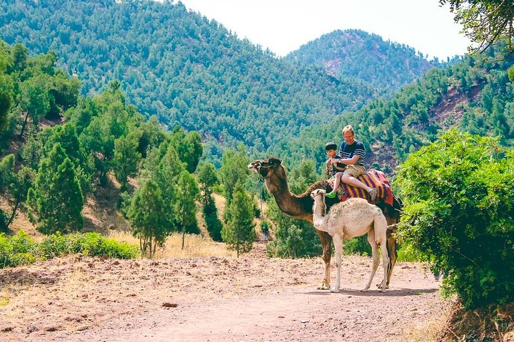 Toubkal National Park & Atlas Mountains Day Trip from Marrakech Including Lunch - Photo 1 of 8