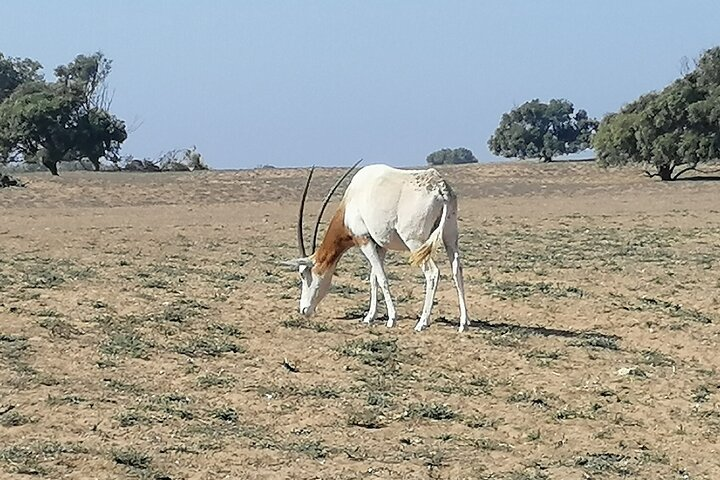 Tour to National Park in the South of Agadir  - Photo 1 of 10