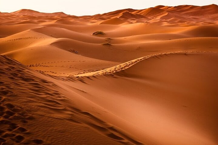 Desert Erg Chigaga Safari Marrakech - Photo 1 of 16