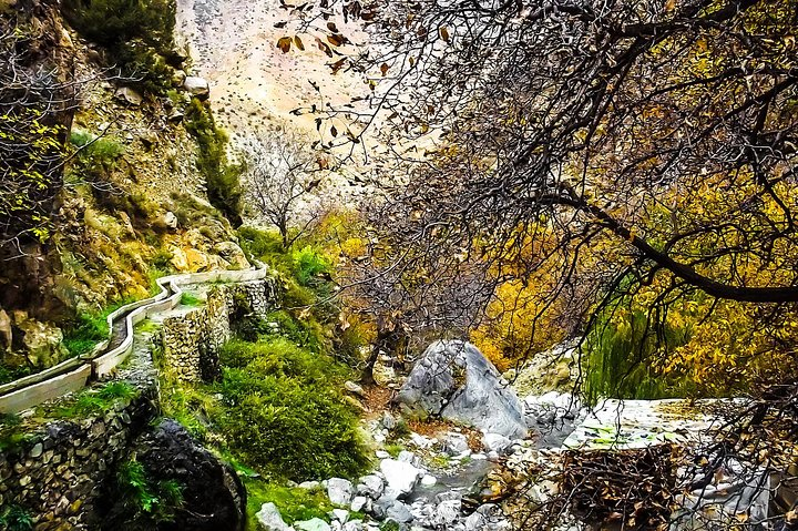 Valley & Garden  - Photo 1 of 9