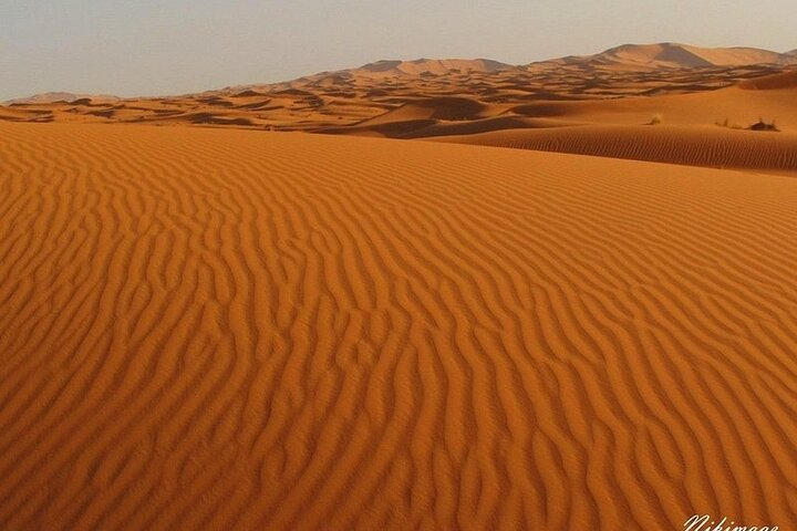 Rally over Merzouga dunes with a visit to the Oasis - Photo 1 of 14