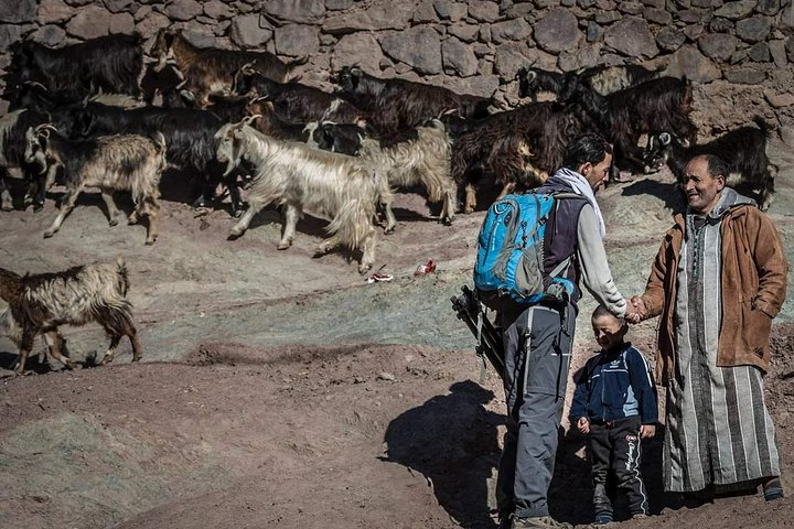 Visit Imlil village in the High Atlas mountains