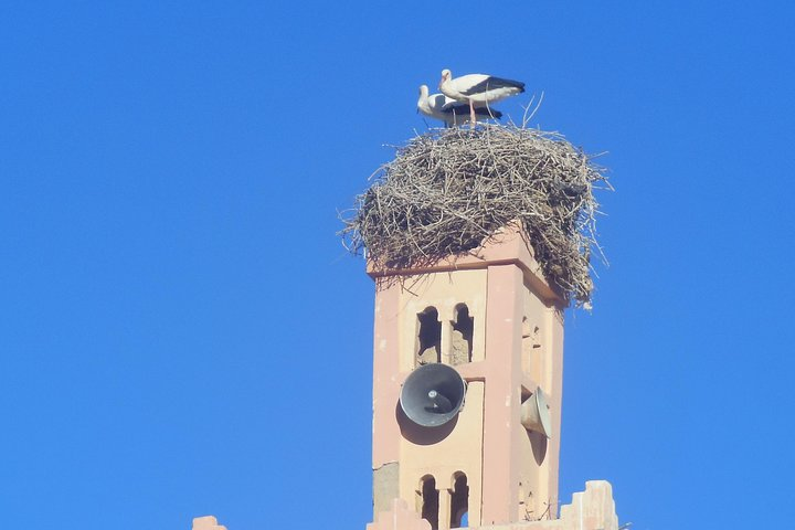 Meknes