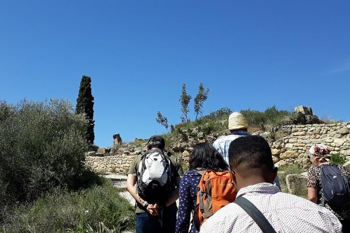 Day trip from Fes to Meknes volubilis with local Guide in Meknes - Photo 1 of 10