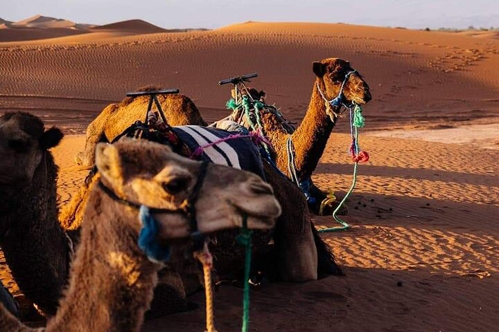 Zagoura Desert 2 Days 1 Night include B&B, Lunch ,transport ,Tent ,Camel Ride  - Photo 1 of 25