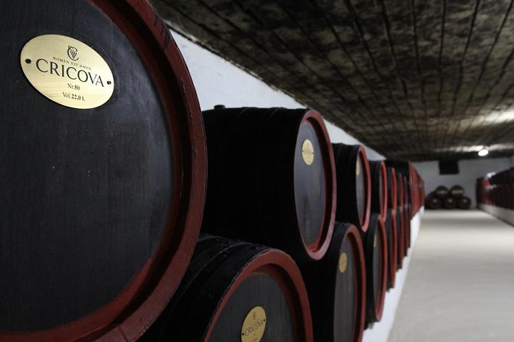 2 Excursions in One Day - Cricova Winery,Tiraspol City and Bender Fortress! - Photo 1 of 6