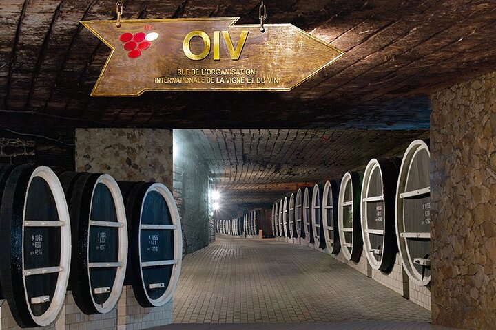 Milestii Mici Winery - the largest wine cellar in the world