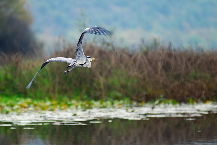 7-Hours Private Guided Wine and Gastro Tour in Skadar Lake - Photo 1 of 6