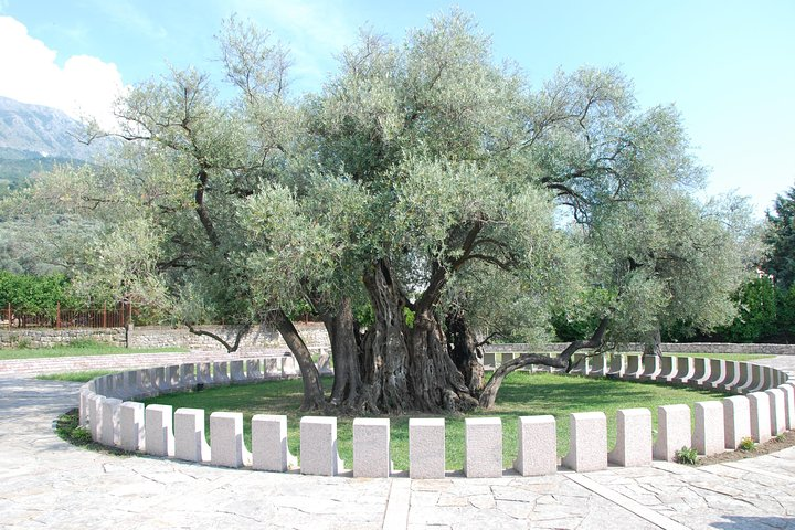 Port of Bar tour - Explore Adriatic area - Bar and Ulcinj tour - Photo 1 of 3