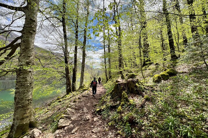 Podgorica Day Trip to North - Biogradska Gora National Park  - Photo 1 of 21