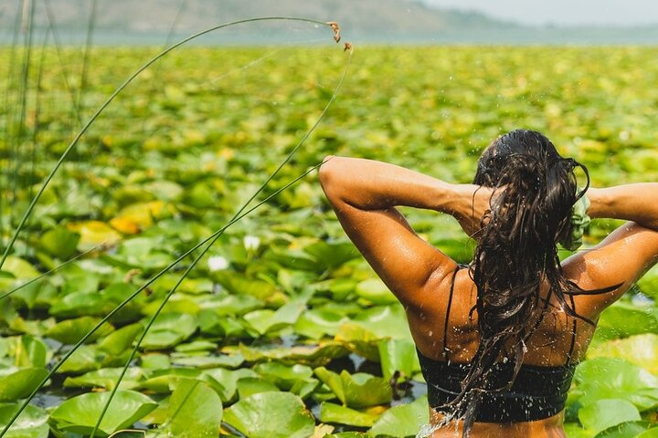 1-hour Kayak Adventure through Skadar Lake from Virpazar - Photo 1 of 18