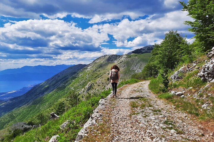 Lovcen mountain Circle Panoramic - Hiking Tours in Montenegro - Photo 1 of 11