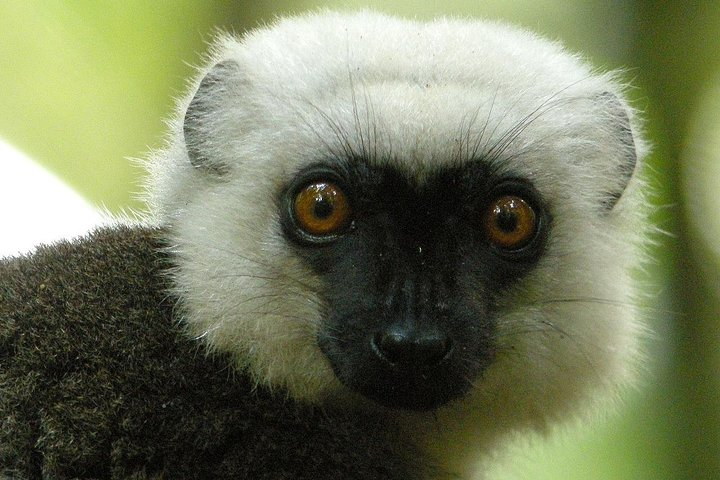 4 Day Adventure in Masoala National Park from Antananarivo - Photo 1 of 9